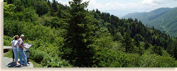 Smoky Mountain Overlook