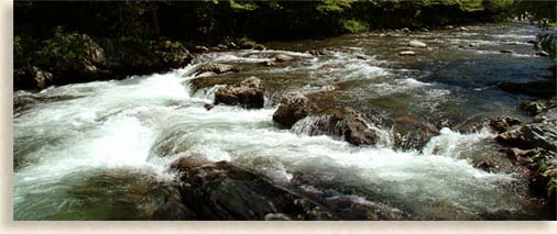 Little Pigeon River in Pittman Tennessee