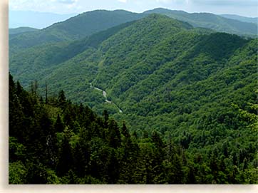 Newfound Gap Road Overlook