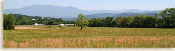 Valley within the Smoky Mountains