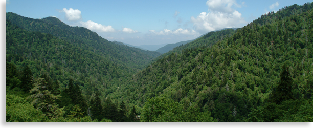 Little Pigeon River Overlook - Smoky Mountain Tennessee