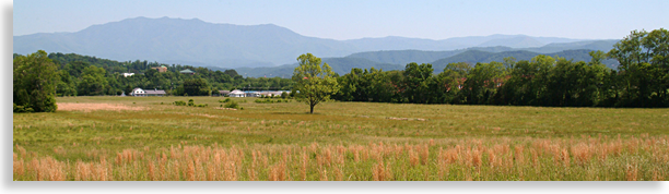 Valley within the Smoky Mountains