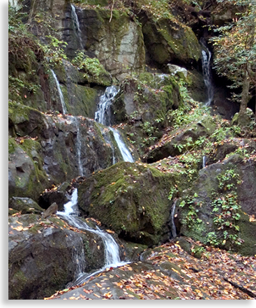 waterfall in Roaring Fork Nature Trails