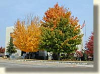 Courthouse in Benton, Tennessee