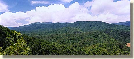 Cohutta Wilderness Area