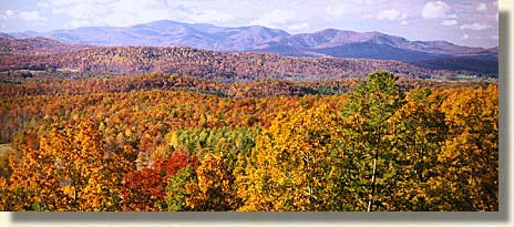 Rich Mountain Wilderness