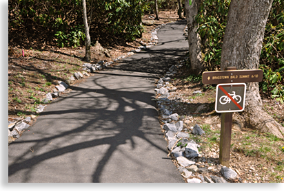 Brasstown Valley Summit Trail