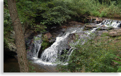 Cupid Falls in Young Harris