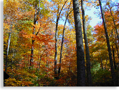 Dicks Creek Gap