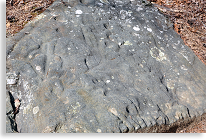 Track Rock Archeological Area