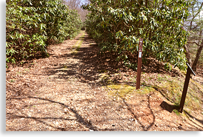 Wagon Train Trail