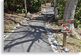 Brasstown Valley Summit Trail