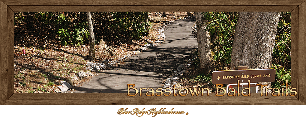 Brasstown Bald