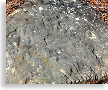 Trackrock Archaeological Site