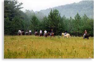 horseback riding