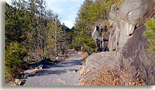 Old Copper Road Trail along the Ocoee River