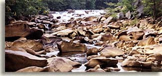 Ragging whitewater river - Ocoee River Gorge